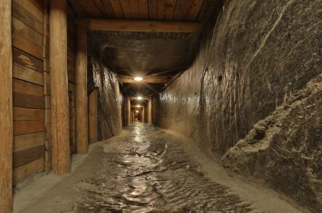 Photo no. 10 (13)
                                                         The tourist route in the 'Wieliczka' Salt Mine is almost 3 km of winding corridors. Photo by R. Stachurski. Source: © Kopalnia Soli 'Wieliczka' S.A.
                            